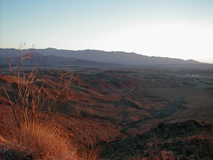 The San Diego Desert